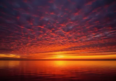 Imagen PNG para descargar